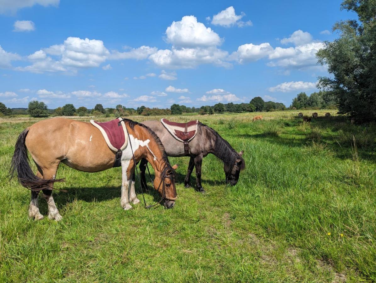 Klavertje 4 Middelaar Zewnętrze zdjęcie